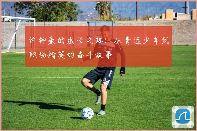 许钟豪的成长之路：从青涩少年到职场精英的奋斗故事