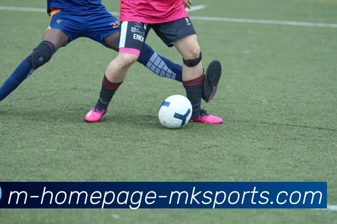 App Interface Preview