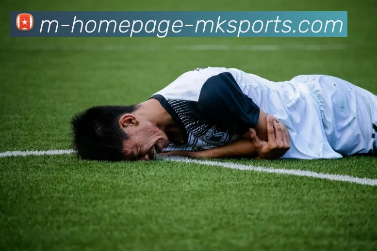 MK体育APP 封面图